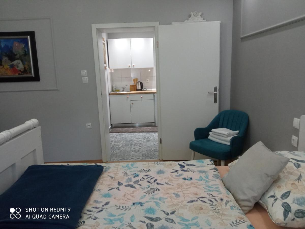 Villa Lucia - Apartments&Rooms Славонски брод Екстериор снимка