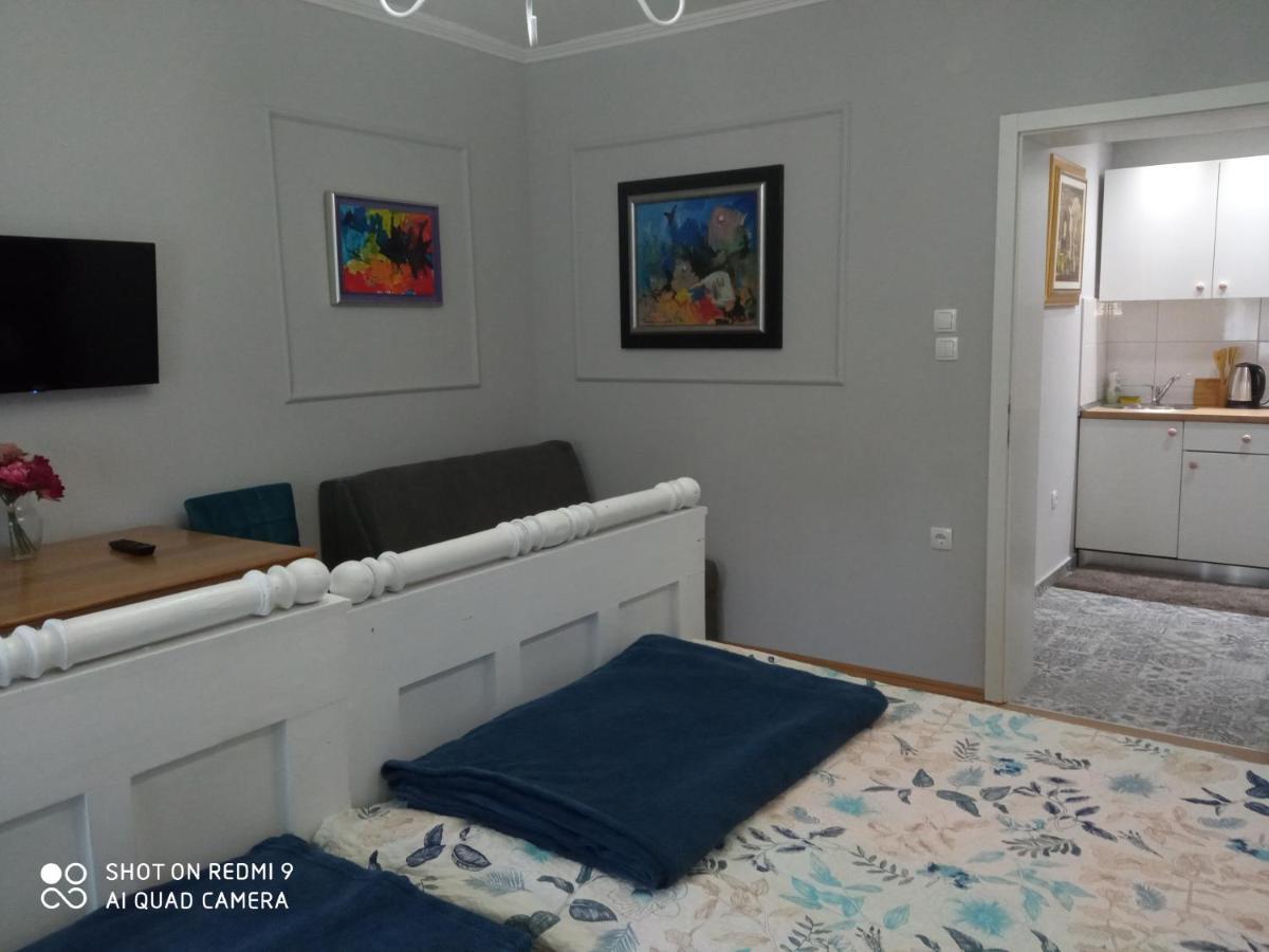 Villa Lucia - Apartments&Rooms Славонски брод Екстериор снимка