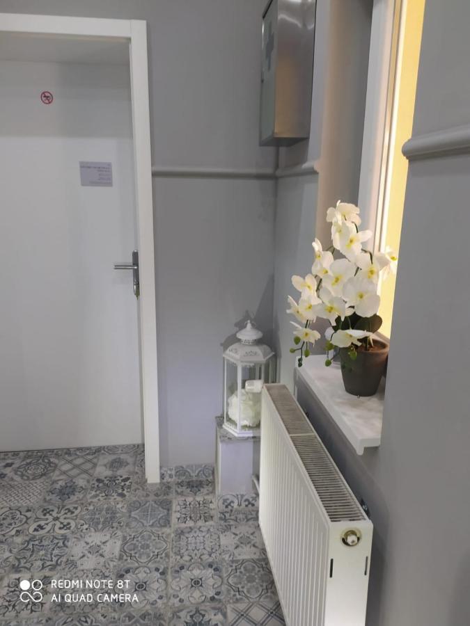Villa Lucia - Apartments&Rooms Славонски брод Екстериор снимка